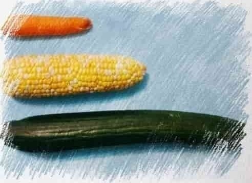 Морковь, початок кукурузы и огурец рядом друг с другом
